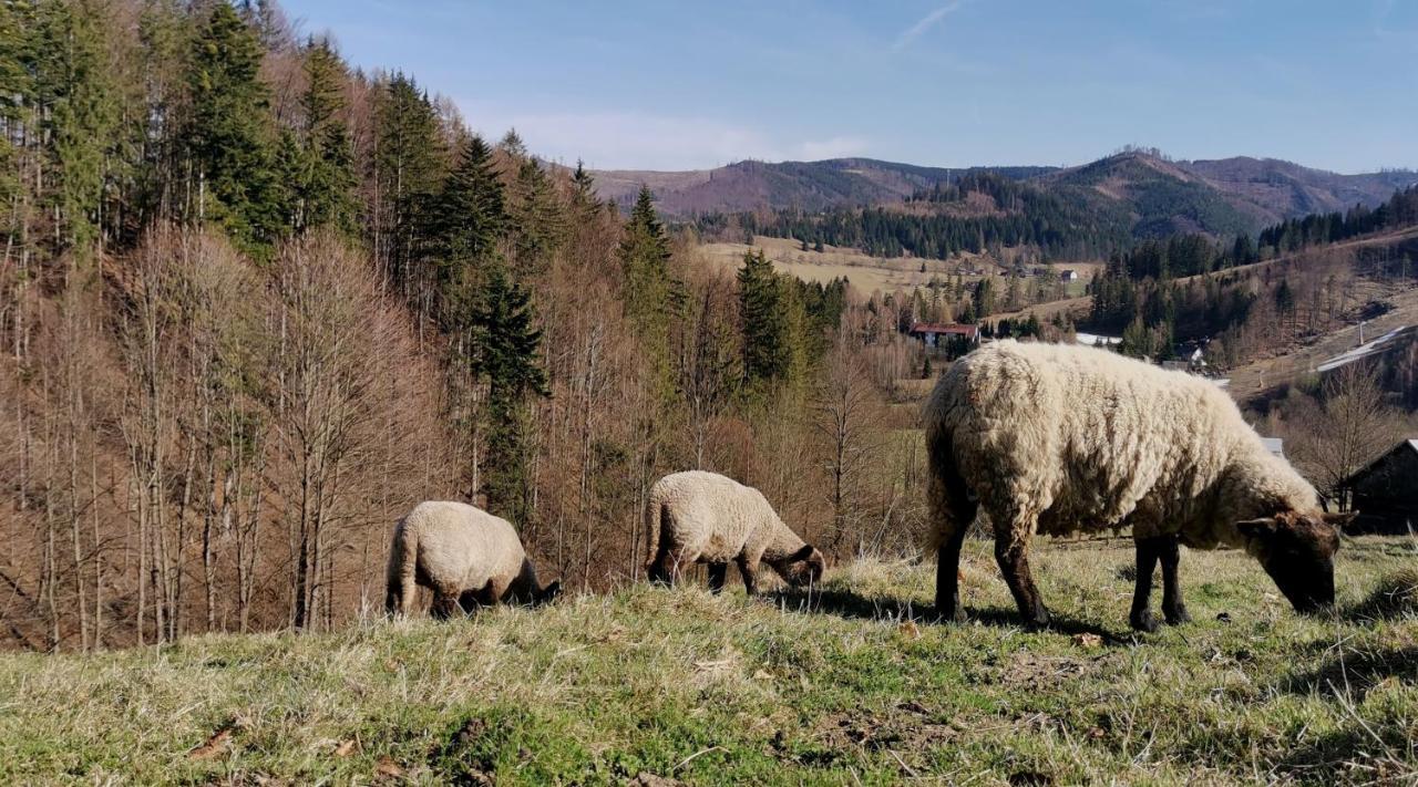 Penzion Rzehaczek Dolna Łomna Zewnętrze zdjęcie